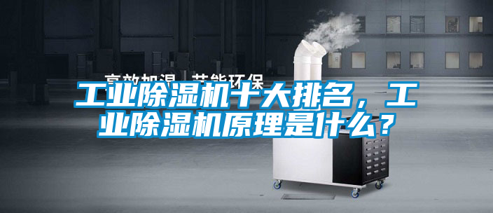 工業(yè)除濕機(jī)十大排名，工業(yè)除濕機(jī)原理是什么？