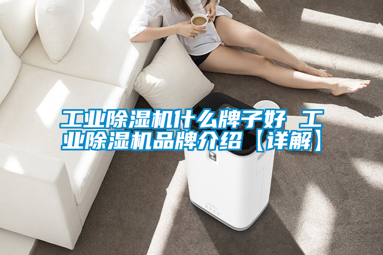 工業(yè)除濕機什么牌子好 工業(yè)除濕機品牌介紹【詳解】