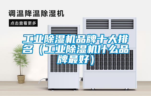工業(yè)除濕機(jī)品牌十大排名（工業(yè)除濕機(jī)什么品牌最好）