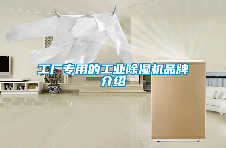 工廠專用的工業(yè)除濕機(jī)品牌介紹