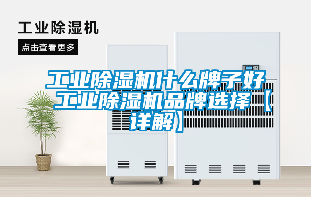 工業(yè)除濕機什么牌子好 工業(yè)除濕機品牌選擇【詳解】