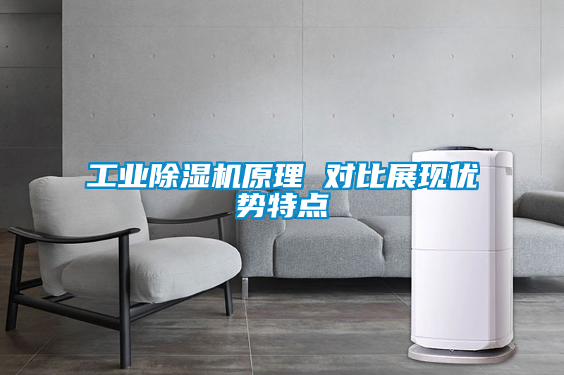 工業(yè)除濕機(jī)原理 對比展現(xiàn)優(yōu)勢特點