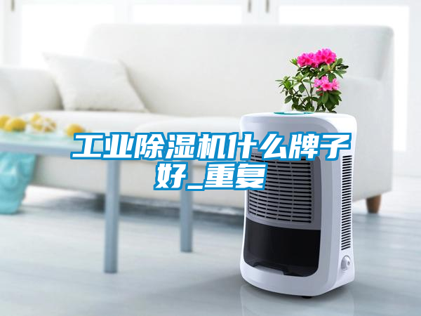 工業(yè)除濕機(jī)什么牌子好_重復(fù)