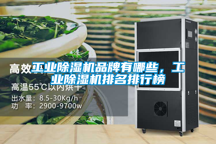 工業(yè)除濕機(jī)品牌有哪些，工業(yè)除濕機(jī)排名排行榜