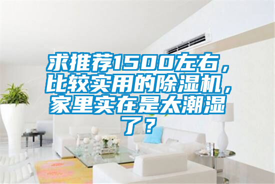 求推薦1500左右，比較實用的除濕機，家里實在是太潮濕了？