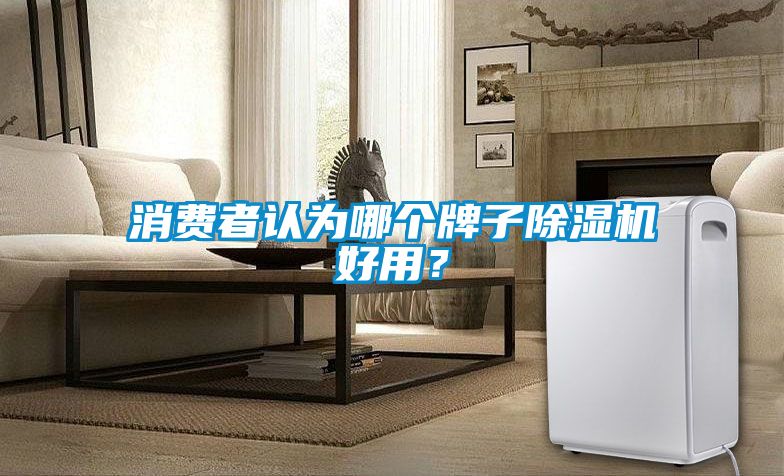 消費(fèi)者認(rèn)為哪個(gè)牌子除濕機(jī)好用？