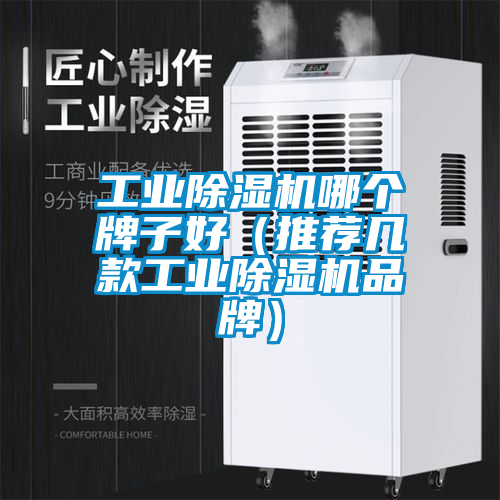 工業(yè)除濕機(jī)哪個(gè)牌子好（推薦幾款工業(yè)除濕機(jī)品牌）