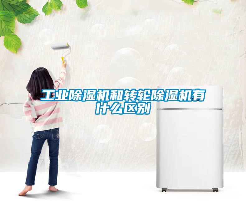 工業(yè)除濕機(jī)和轉(zhuǎn)輪除濕機(jī)有什么區(qū)別