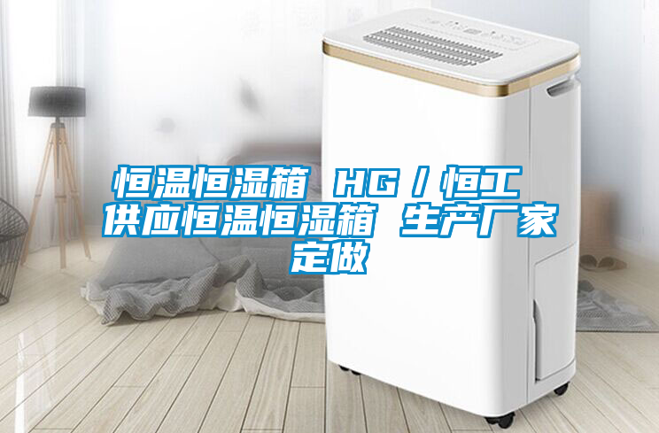 恒溫恒濕箱 HG／恒工 供應(yīng)恒溫恒濕箱 生產(chǎn)廠家定做