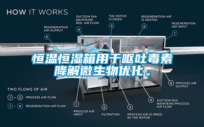 恒溫恒濕箱用于嘔吐毒素降解微生物優(yōu)化。