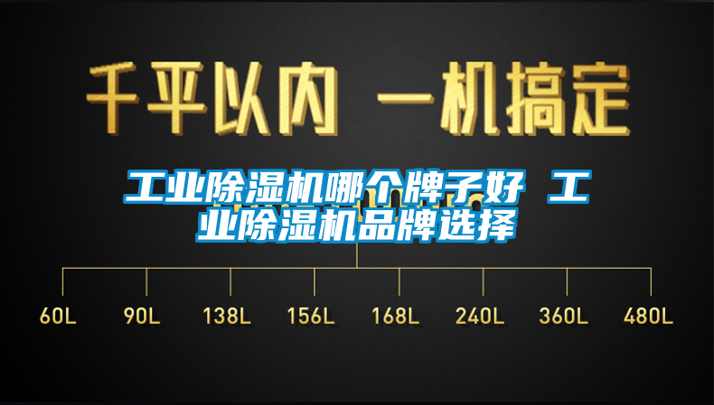 工業(yè)除濕機(jī)哪個(gè)牌子好 工業(yè)除濕機(jī)品牌選擇