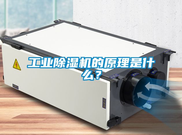 工業(yè)除濕機(jī)的原理是什么？