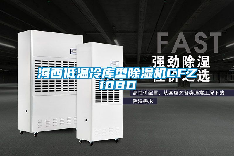 海西低溫冷庫(kù)型除濕機(jī)CFZ10BD