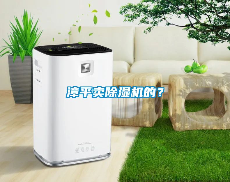漳平賣(mài)除濕機(jī)的？