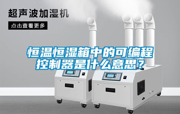 恒溫恒濕箱中的可編程控制器是什么意思？