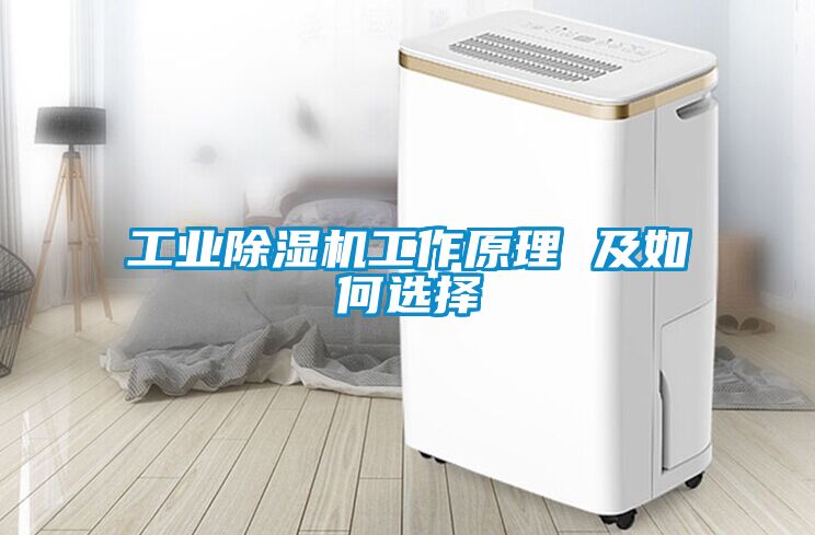 工業(yè)除濕機(jī)工作原理 及如何選擇