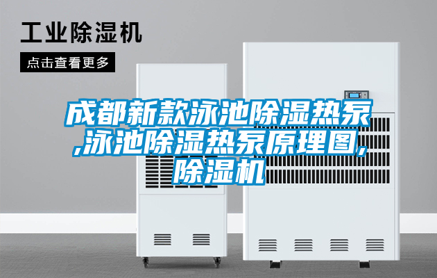 成都新款泳池除濕熱泵,泳池除濕熱泵原理圖,除濕機(jī)