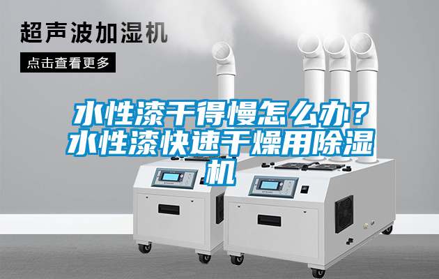 水性漆干得慢怎么辦？水性漆快速干燥用除濕機