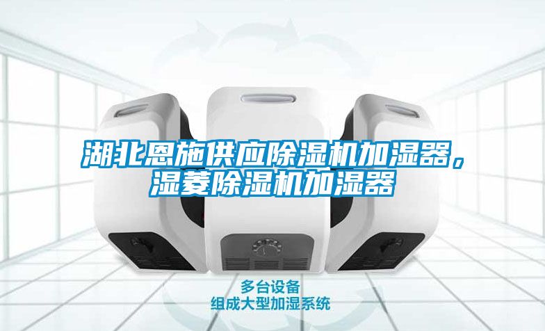 湖北恩施供應(yīng)除濕機(jī)加濕器，濕菱除濕機(jī)加濕器