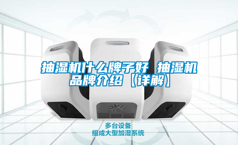 抽濕機(jī)什么牌子好 抽濕機(jī)品牌介紹【詳解】