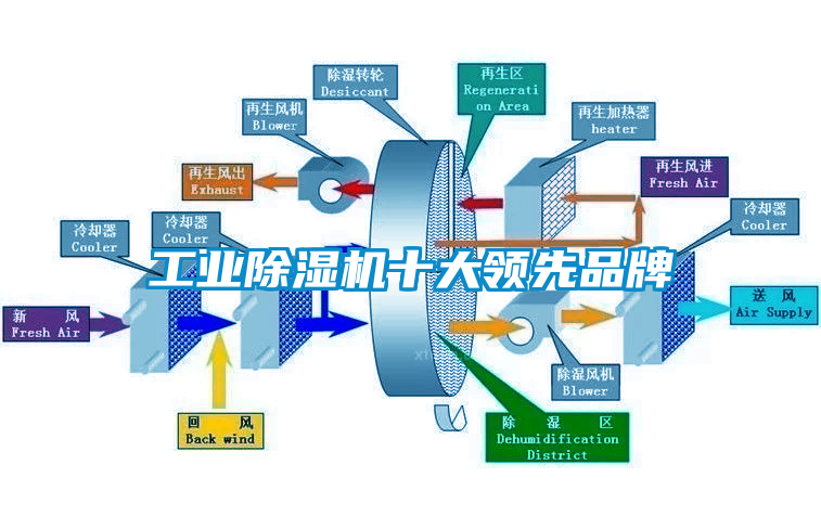 工業(yè)除濕機(jī)十大領(lǐng)先品牌