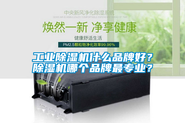 工業(yè)除濕機(jī)什么品牌好？除濕機(jī)哪個(gè)品牌最專業(yè)？