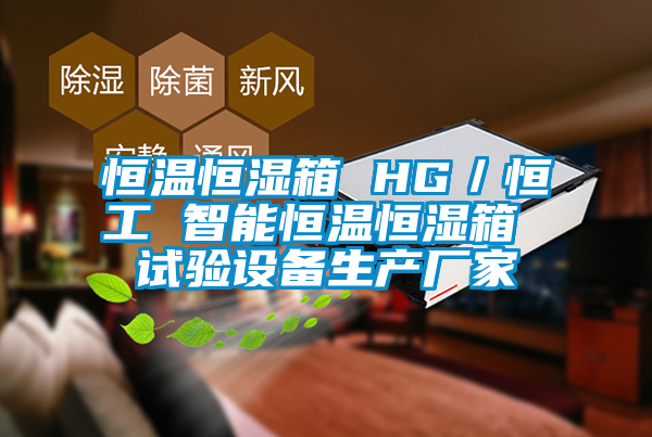 恒溫恒濕箱 HG／恒工 智能恒溫恒濕箱 試驗(yàn)設(shè)備生產(chǎn)廠家
