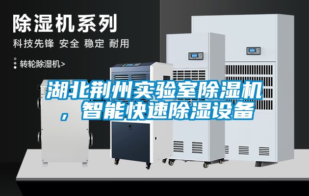 湖北荊州實驗室除濕機，智能快速除濕設備