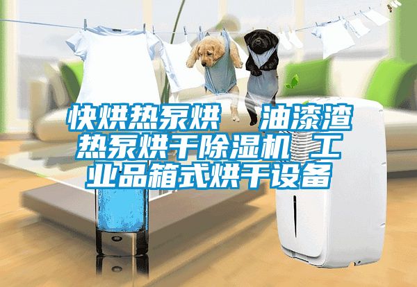 快烘熱泵烘  油漆渣熱泵烘干除濕機 工業(yè)品箱式烘干設(shè)備