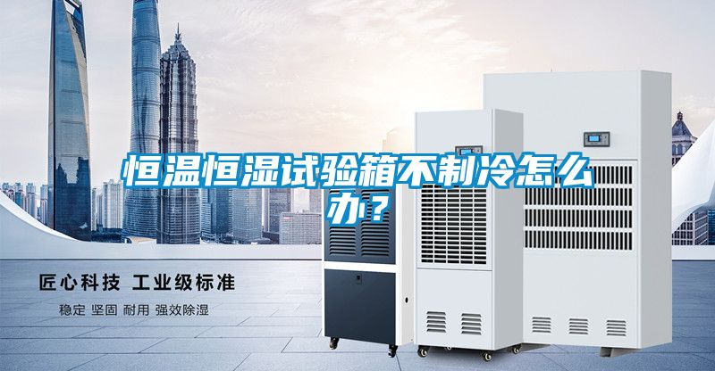 恒溫恒濕試驗(yàn)箱不制冷怎么辦？