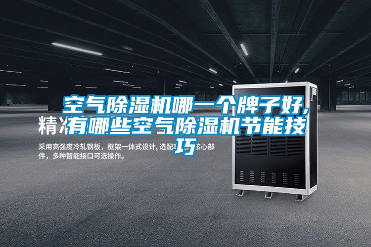 空氣除濕機(jī)哪一個(gè)牌子好,有哪些空氣除濕機(jī)節(jié)能技巧