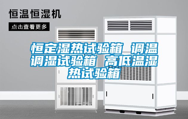 恒定濕熱試驗箱 調(diào)溫調(diào)濕試驗箱 高低溫濕熱試驗箱