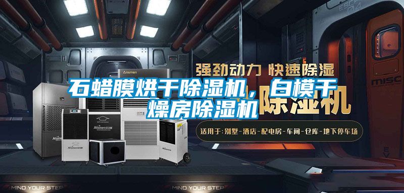 石蠟膜烘干除濕機，白模干燥房除濕機