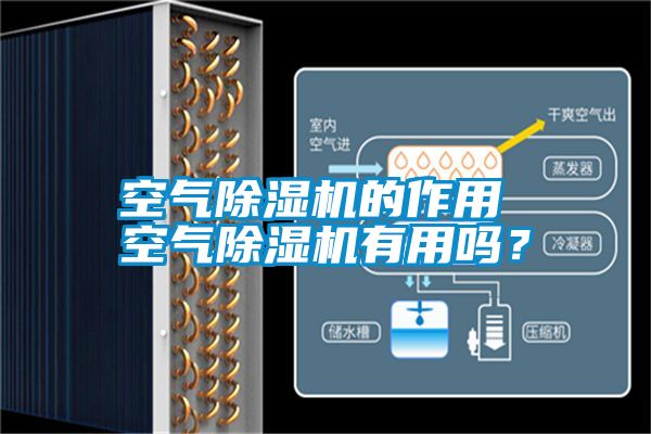 空氣除濕機的作用 空氣除濕機有用嗎？