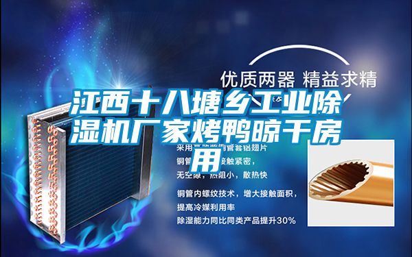 江西十八塘鄉(xiāng)工業(yè)除濕機廠家烤鴨晾干房用