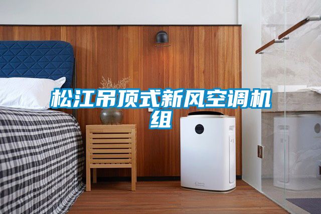 松江吊頂式新風(fēng)空調(diào)機組