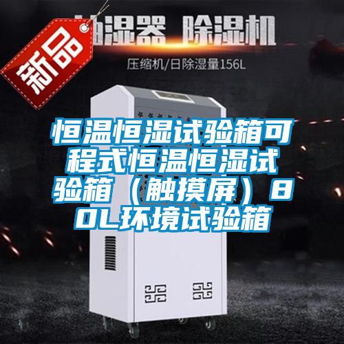 恒溫恒濕試驗箱可程式恒溫恒濕試驗箱（觸摸屏）80L環(huán)境試驗箱