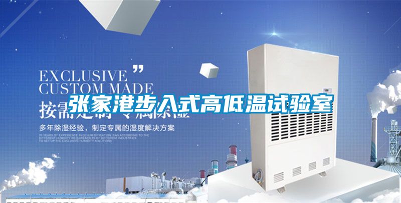 張家港步入式高低溫試驗(yàn)室