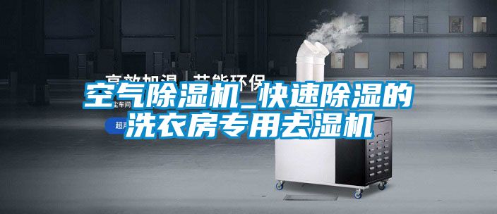 空氣除濕機(jī)_快速除濕的洗衣房專用去濕機(jī)