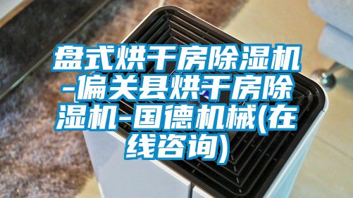 盤(pán)式烘干房除濕機(jī)-偏關(guān)縣烘干房除濕機(jī)-國(guó)德機(jī)械(在線咨詢)