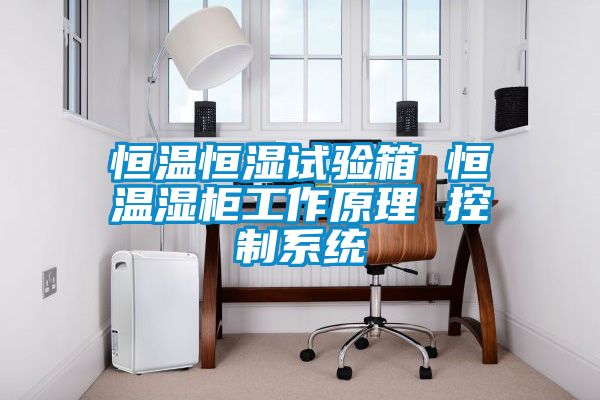 恒溫恒濕試驗(yàn)箱 恒溫濕柜工作原理 控制系統(tǒng)