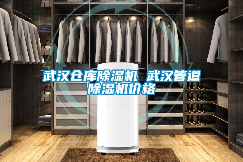 武漢倉庫除濕機 武漢管道除濕機價格