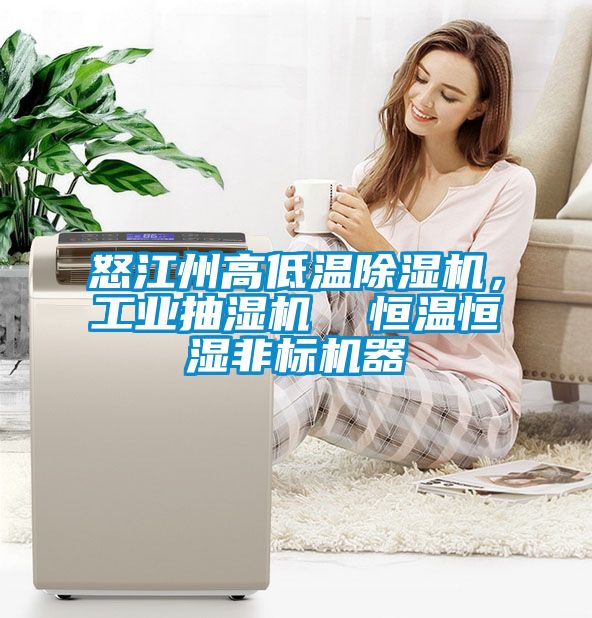 怒江州高低溫除濕機，工業(yè)抽濕機  恒溫恒濕非標(biāo)機器