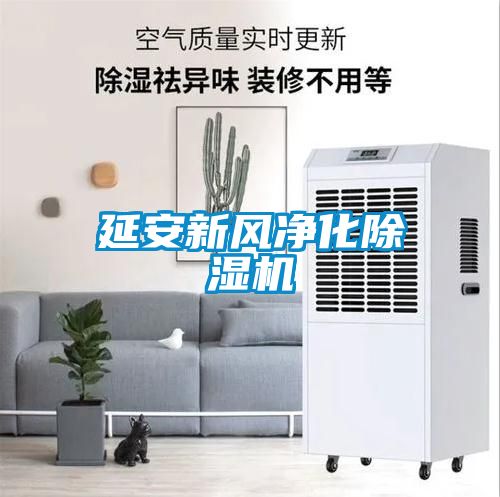 延安新風(fēng)凈化除濕機(jī)