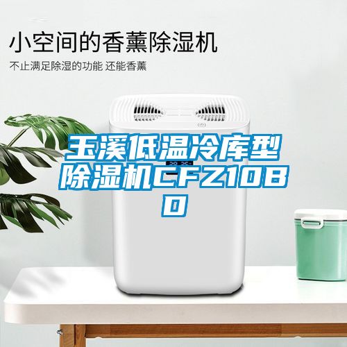 玉溪低溫冷庫(kù)型除濕機(jī)CFZ10BD