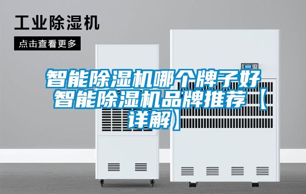 智能除濕機(jī)哪個(gè)牌子好 智能除濕機(jī)品牌推薦【詳解】