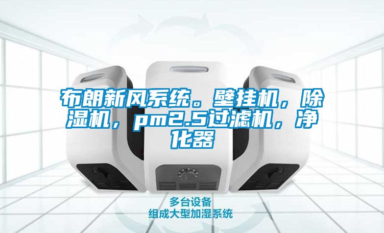 布朗新風(fēng)系統(tǒng)。壁掛機(jī)，除濕機(jī)，pm2.5過濾機(jī)，凈化器