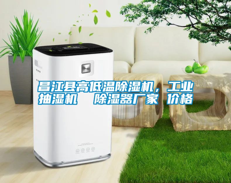 昌江縣高低溫除濕機(jī)，工業(yè)抽濕機(jī)  除濕器廠家 價(jià)格