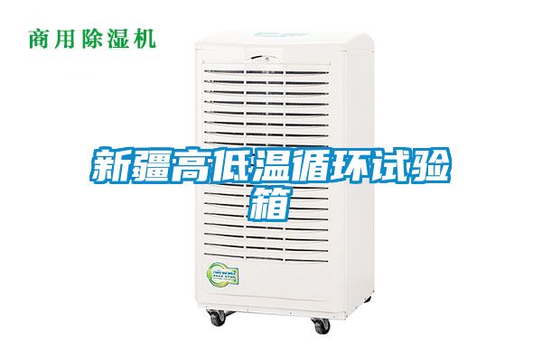 新疆高低溫循環(huán)試驗箱
