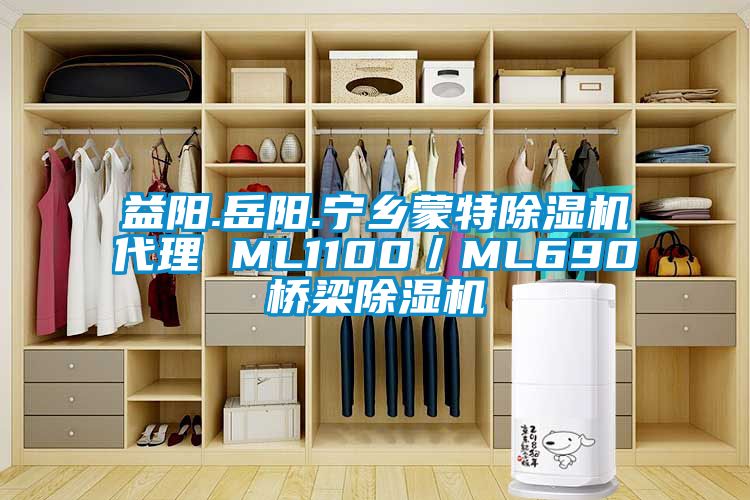 益陽.岳陽.寧鄉(xiāng)蒙特除濕機(jī)代理 ML1100／ML690橋梁除濕機(jī)